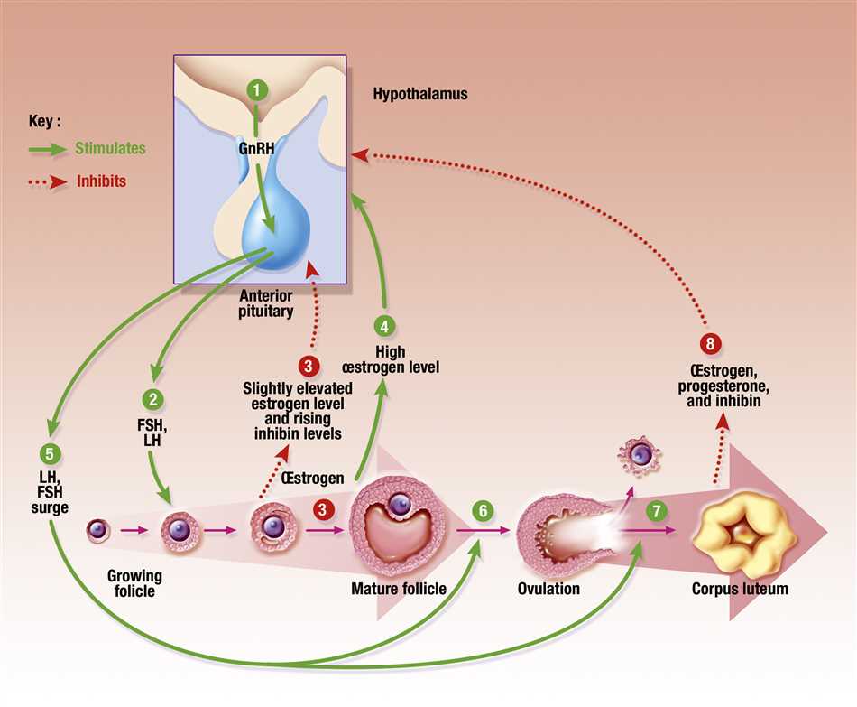 Can amitriptyline affect your menstrual cycle